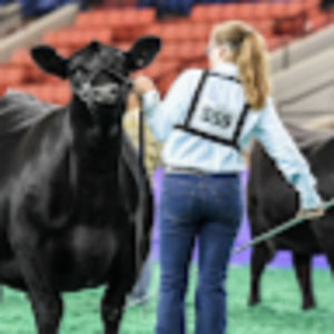 Meet your Posher, Ella